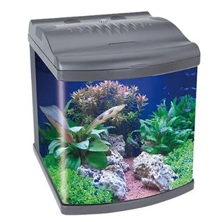 ACUARIO BOYU MT/50, LAMPARA, Y SISTEMA DE FILTRACION - Pet Lovers MTY