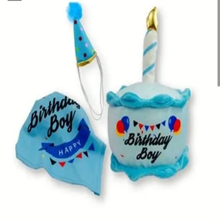 SHARPAW BIRTHDAY BOY